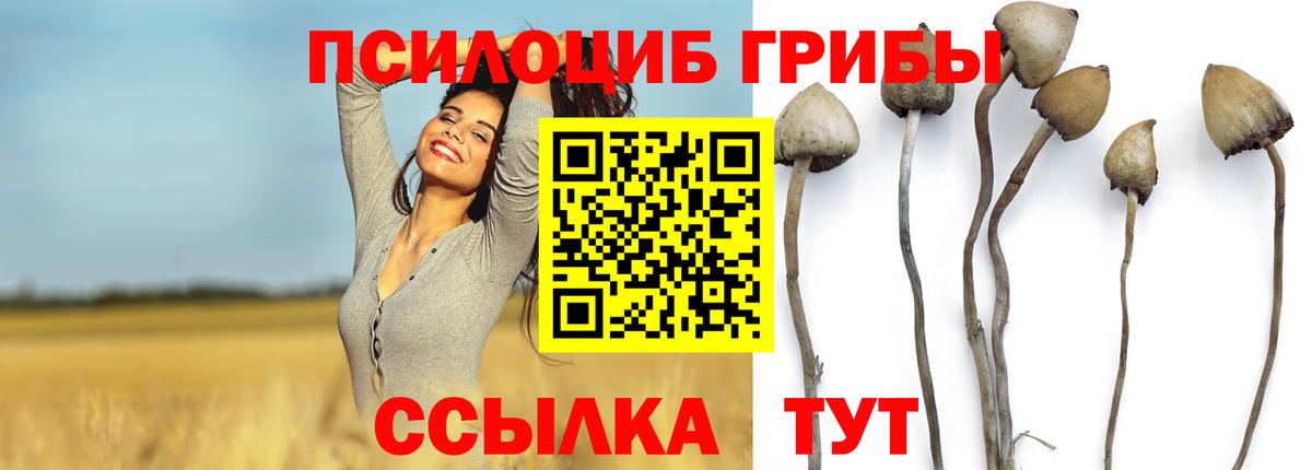 Галлюциногенные грибы Magic Shrooms  Вход с VPN  Нягань 